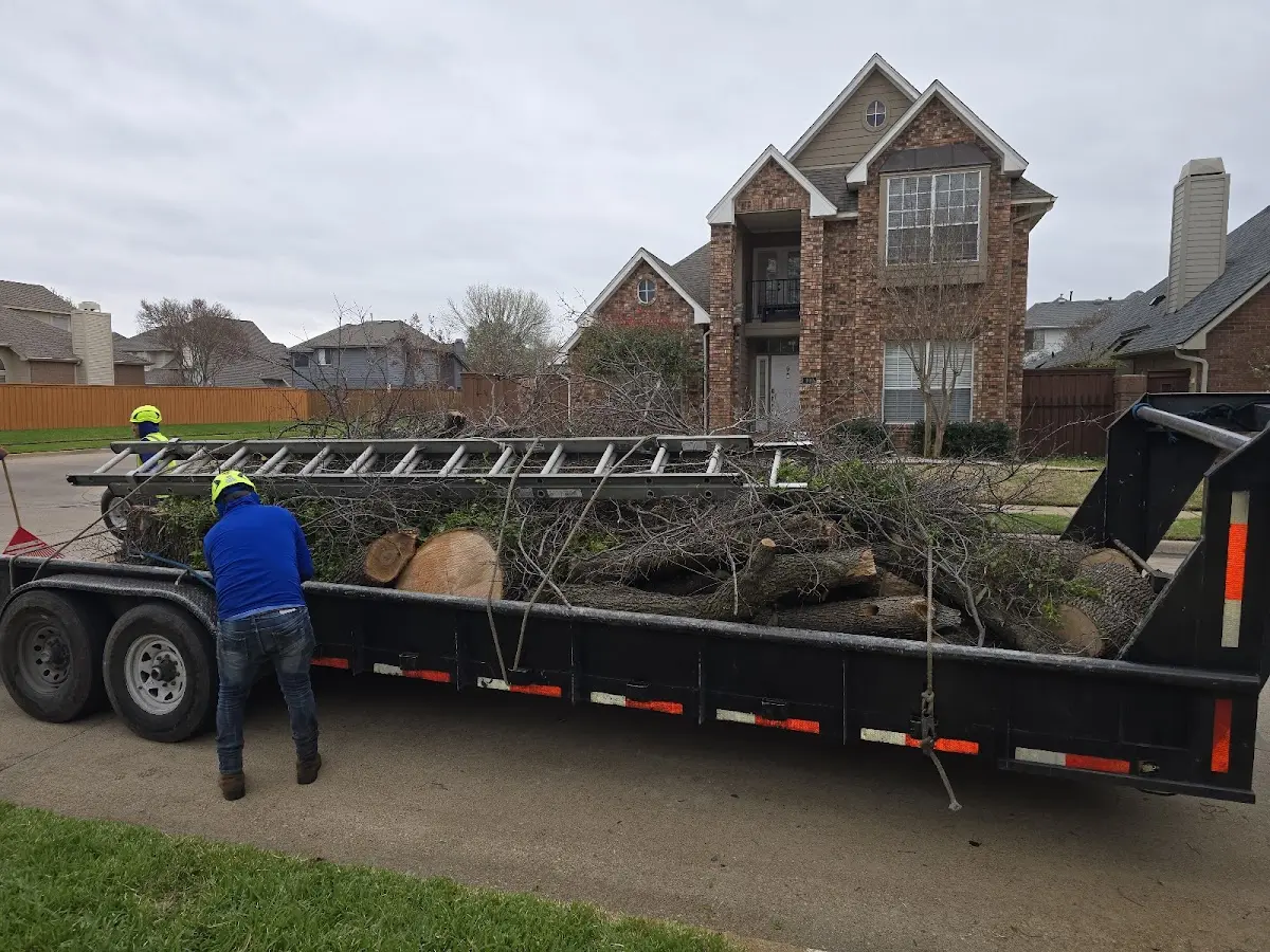 Expert Lot Clearing with proper safety equipment in Powell